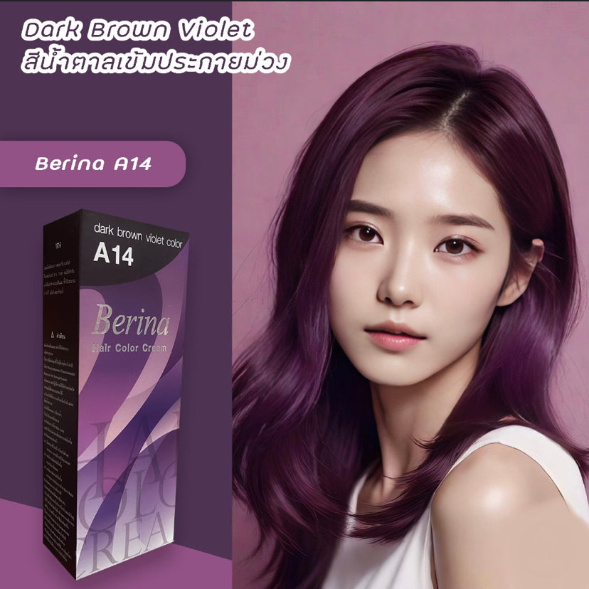 Berina Hair Color #A14