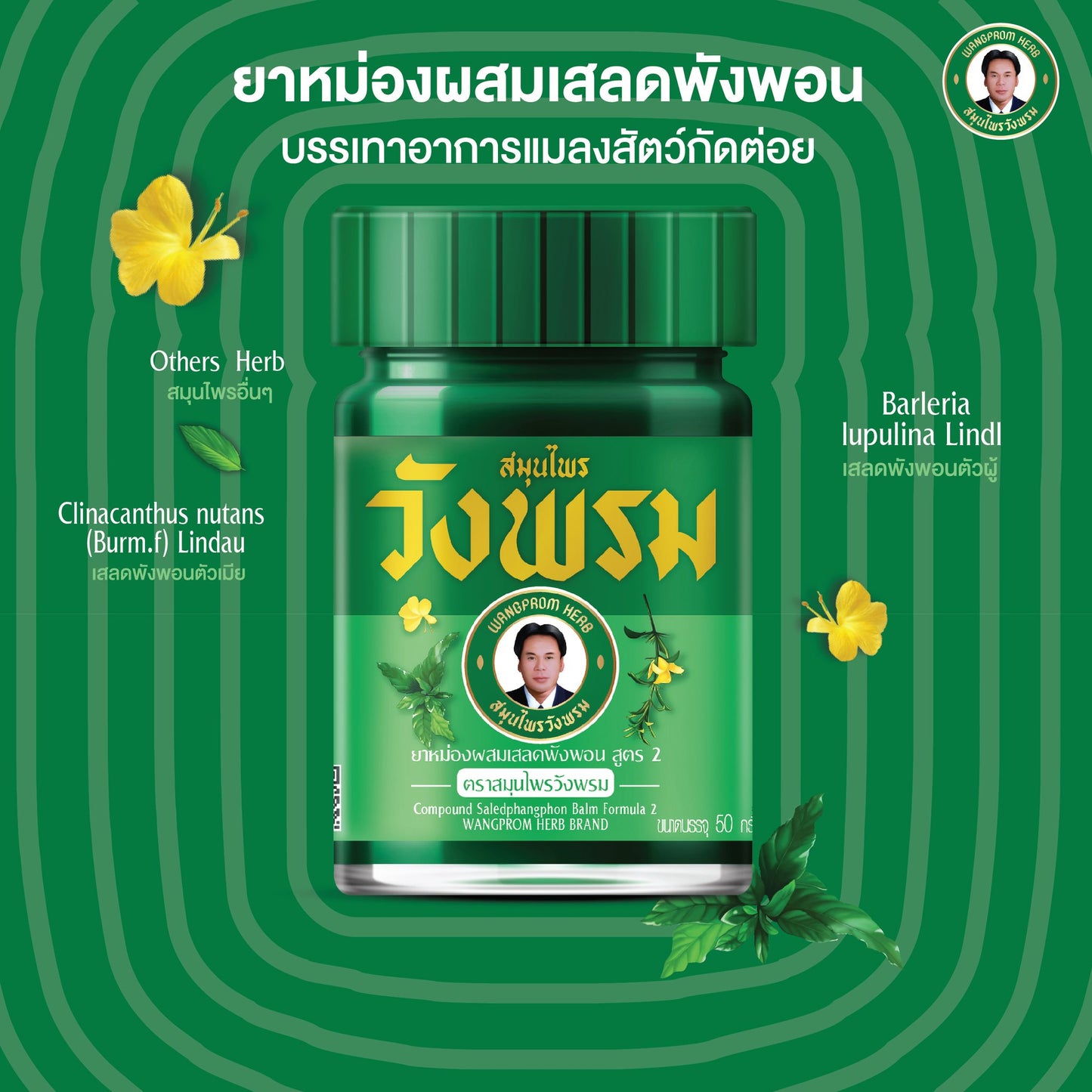 Wang Phrom Herbal Balm 20g