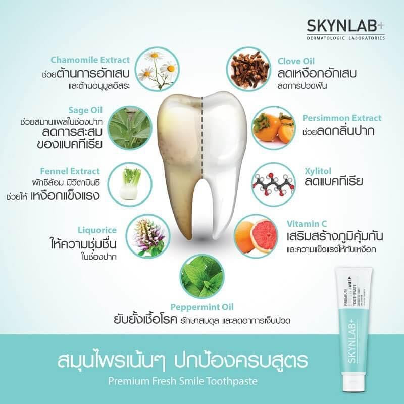 Skynlab Premium All Fresh Smile Toothpaste 160g