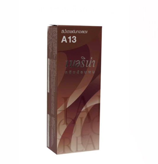 Berina Hair Color #A13